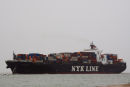 NYK Lynx