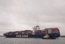 NYK Vesta