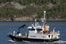 Oljerven 01