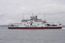 Red Falcon