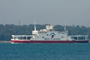 Red Osprey