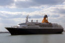 Saga Pearl II