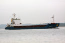 SWE Bulk
