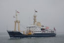 THV Patricia