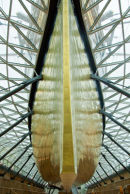 The Hull of the Cutty Sark in Greenwich Drydock