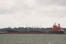 Torm Lotte