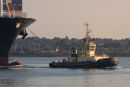 Svitzer Sarah