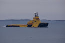 Vidar Viking