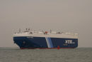 Volans Leader