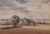 617 Nr Hannington Watercolour 35 x 25 SOLD