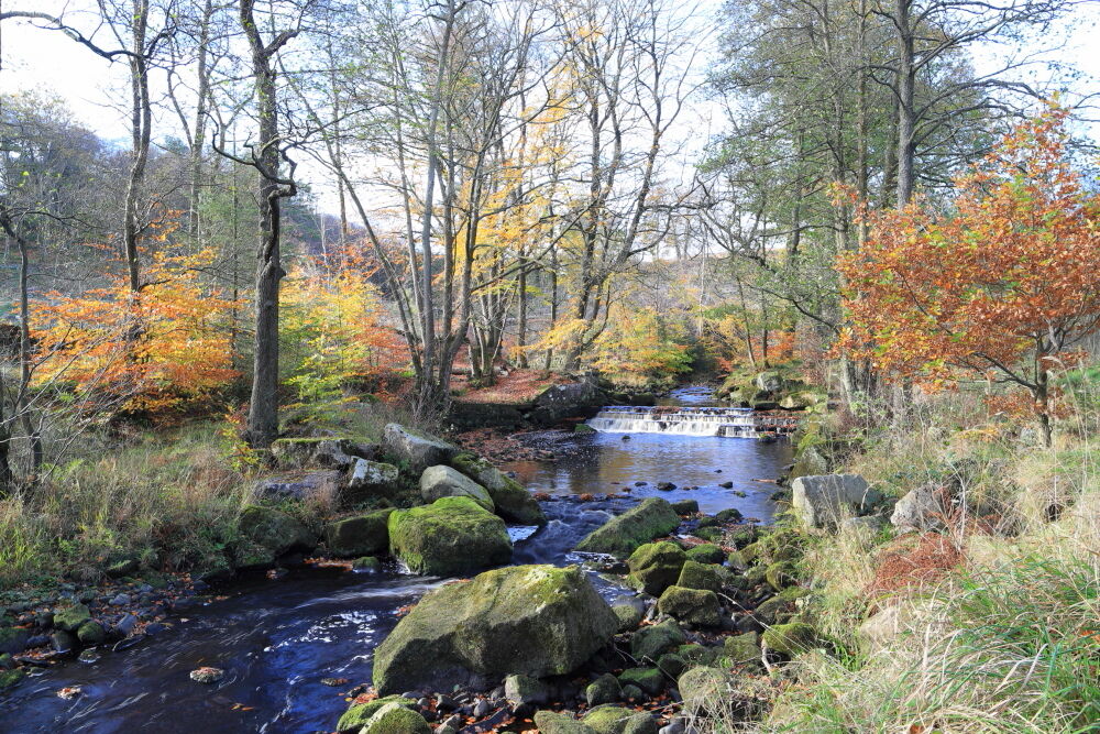 Autumn colours on the Washburn