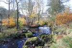 Autumn colours on the Washburn