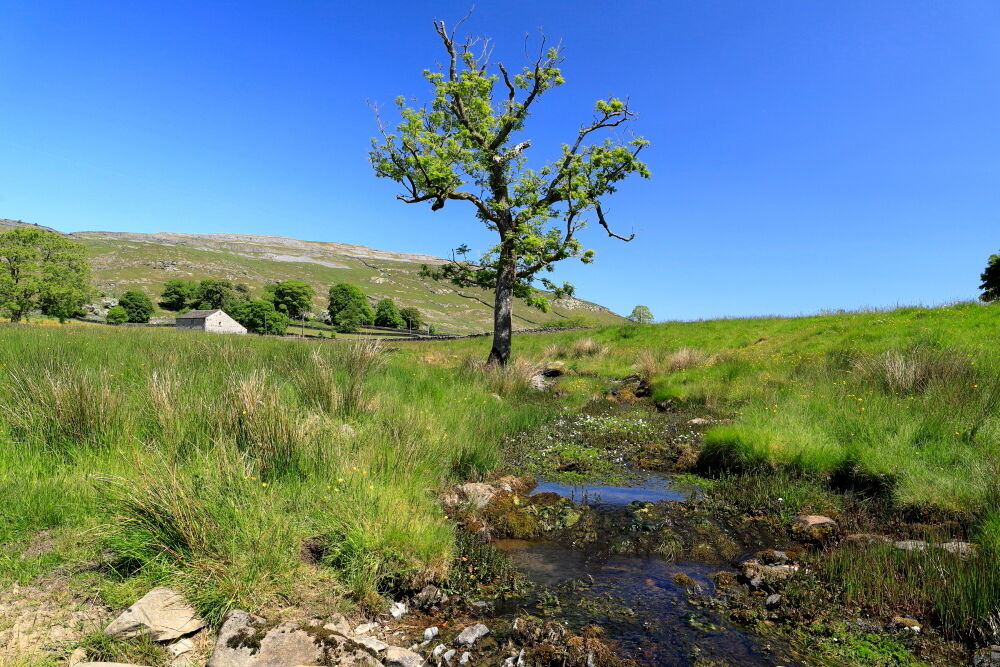 Wharfe Gill Sike