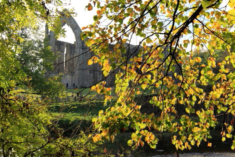 Bolton Priory in Autumn