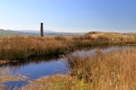 Coalgrove Reservoir and Cupola Chimney Coalgrove Reservoir surrounded by reeds with Cupola Chimney, Grassington Moor