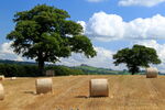 Mid-August Straw bales on Thornberry Hill, Farnley, with Almscliff Crag