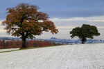 November Light snow on Thornberry Hill, Farnley, with Almscliff Crag in the distance