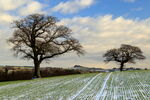 January Frost on Thornberry Hill, Farnley, with Almscliff Crag in distance