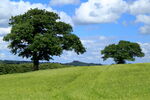 June Thornberry Hill, Farnley, with Almscliff Crag