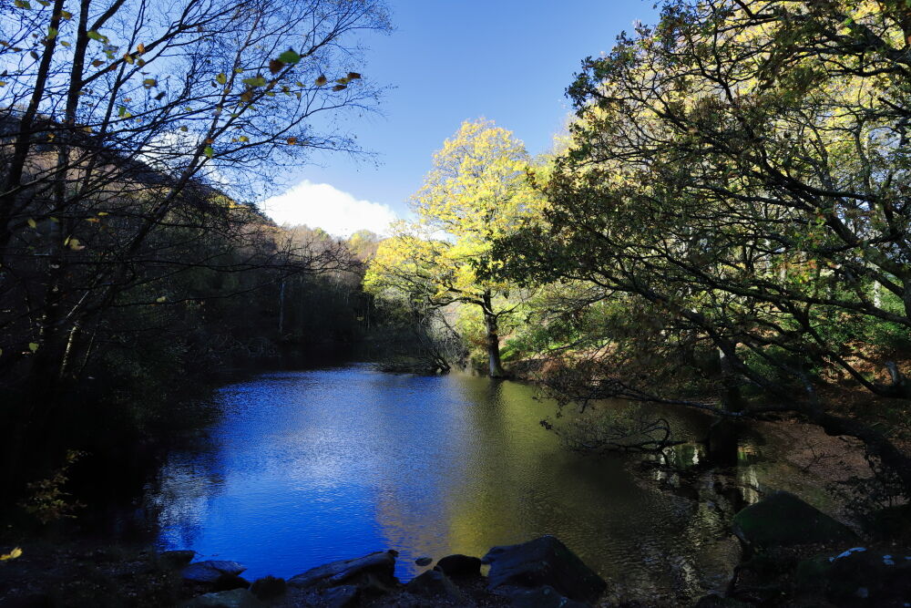 Guisecliff Tarn in autumn, early morning