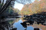 The river Nidd in autumn in Hackfall Woods
