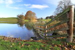 Pond at Jervaulx Park in winter