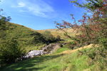 Bardale Beck Hawthorn berries by Bardale Beck, near Marsett