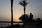 Palm tree, statue seen in silhouette at Place Città della Pieve, Les Lecques
