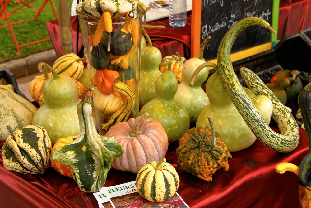 Lyon, Festival des Courges