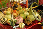 Lyon, Festival des Courges