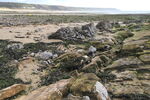 Seaweed-covered rocks at low tide at Port Eynon, Gower