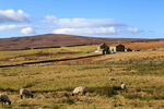 Rorke's Drift, Pock Stones Moor
