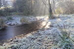 Frost and ice on pond in Meanwood Grove