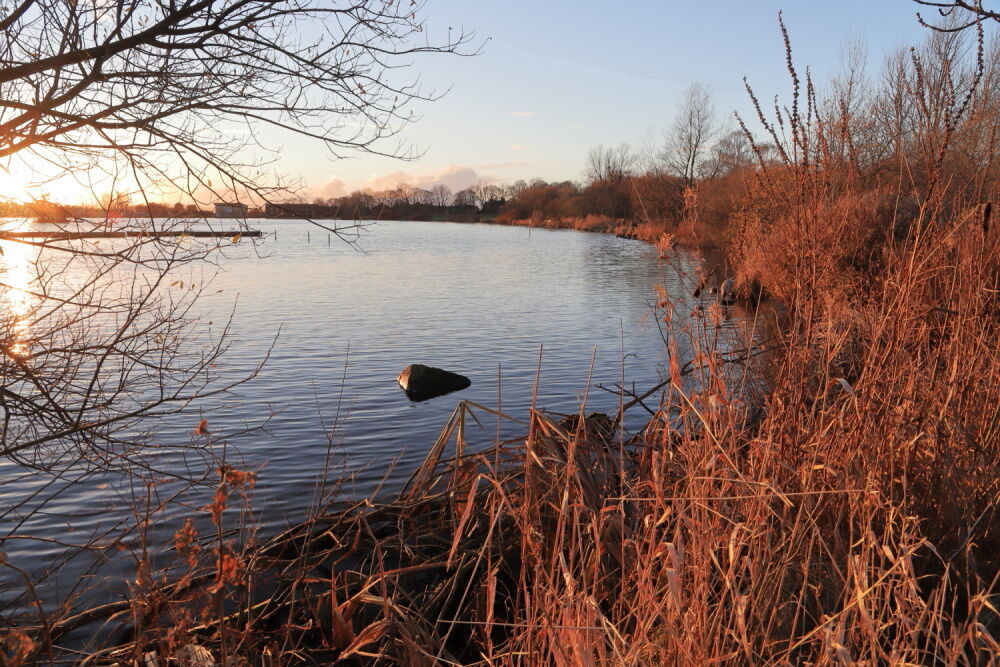 Sun setting over Yeadon Tarn, early evening, winter, lighting up reeds