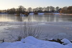 Reeds at Yeadon Tarn in winter with ice and snow, late afternoon