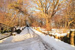 Track through woods from Otley Chevin to West Carlton in snow