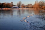Snow and ice around Yeadon Tarn with trees and reeds in winter sunshine