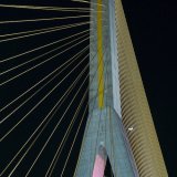 20140504- MG 2310