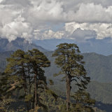 Bhutan-54