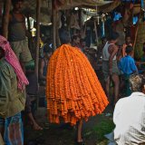 Calcutta-26