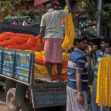 Calcutta-30