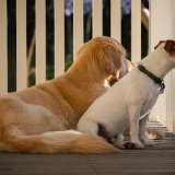 Sophie and Harry - Waiting for the Postman