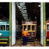 Bendigo Trams