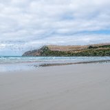 Cape Bridgewater near Portland