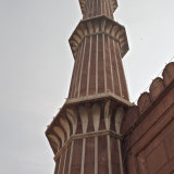 Delhi-23