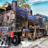 Great Victorian Railway Maldon 2