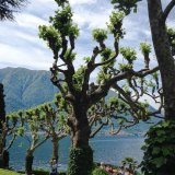 Lake Como-32