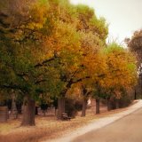 Friarstown - 2