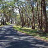 Mount Alexander - 1