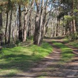 Mount Alexander - 2